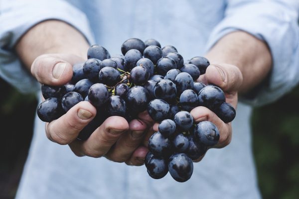 מתן חן- מתמחה ברפואה סינית ותזונה בריאה