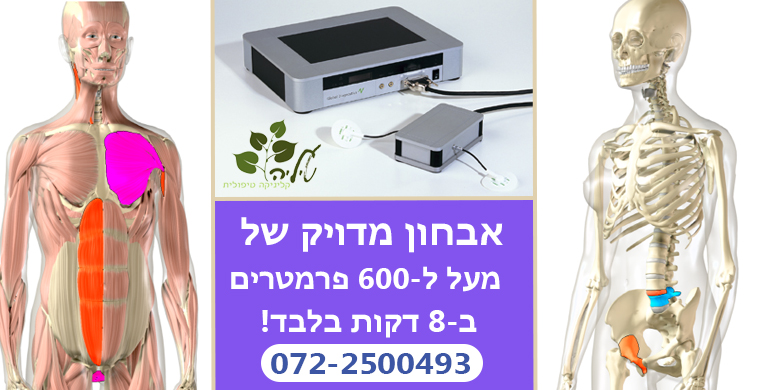 גלובל דיאגנוסטיק באנר
