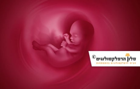 מטמורפיק – השתלמות רפלקסולוגיה עם אפרת ארנון