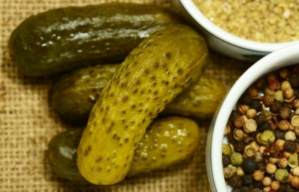 מזונות מותססים – מזון-העל האולטמטיבי